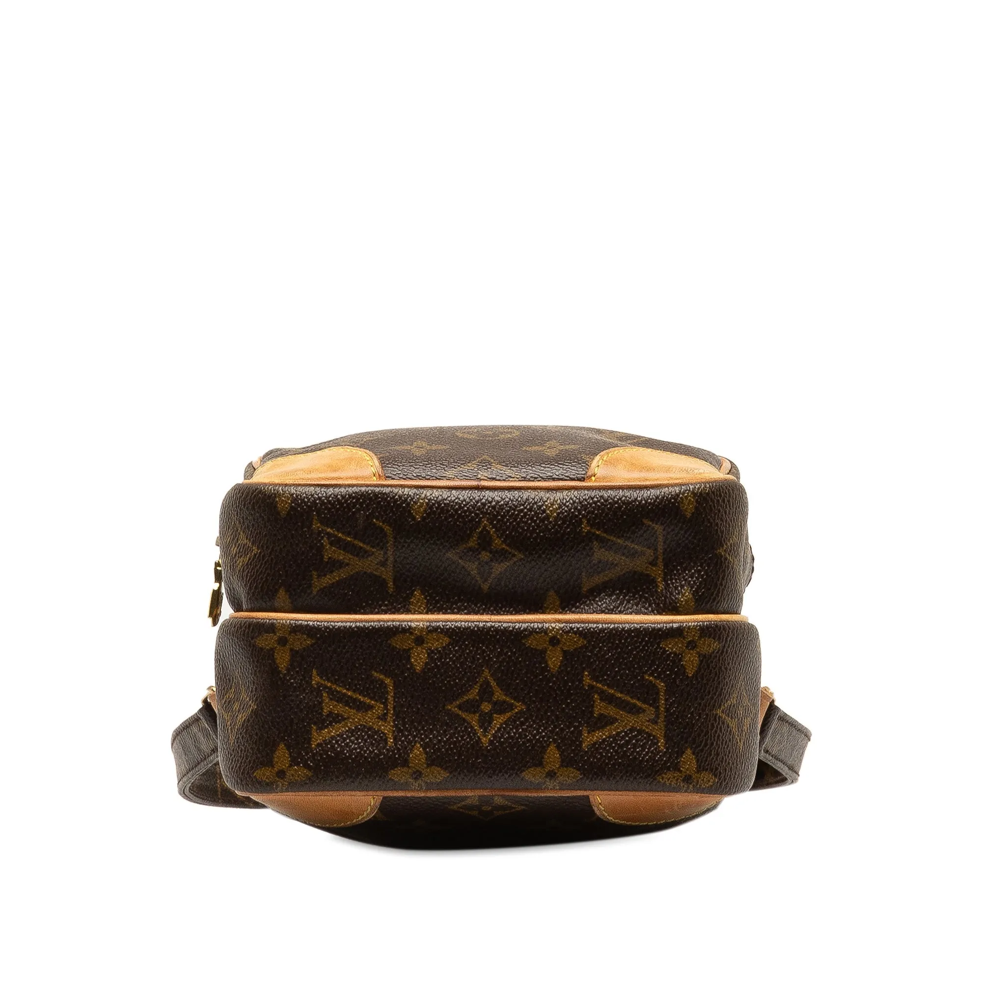 Brown Louis Vuitton Monogram Amazone Crossbody Bag